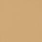 V229 Leather Grain,Plain & Solid Beach Beige & Taupe Charlotte Fabrics Vinyl