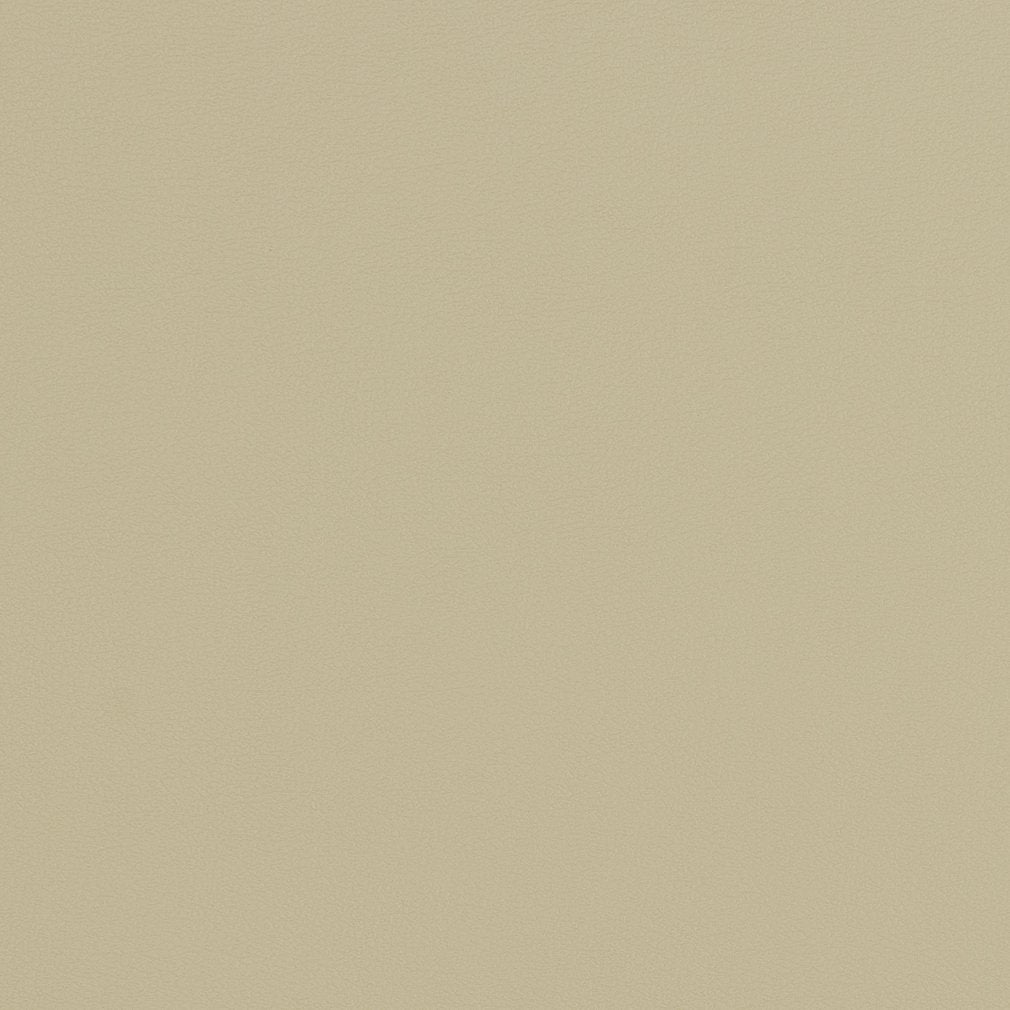 V282 Leather Grain,Plain & Solid Concrete Beige & Taupe Charlotte Fabrics Vinyl