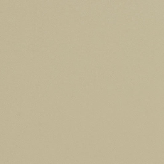 V282 Leather Grain,Plain & Solid Concrete Beige & Taupe Charlotte Fabrics Vinyl