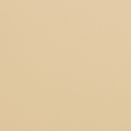 V286 Leather Grain,Plain & Solid Beach Beige & Taupe Charlotte Fabrics Vinyl