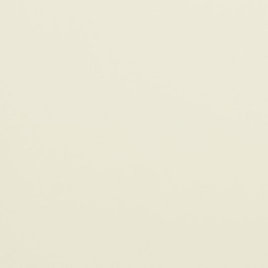 V292 Leather Grain,Plain & Solid Ivory White & Ivory Charlotte Fabrics Vinyl