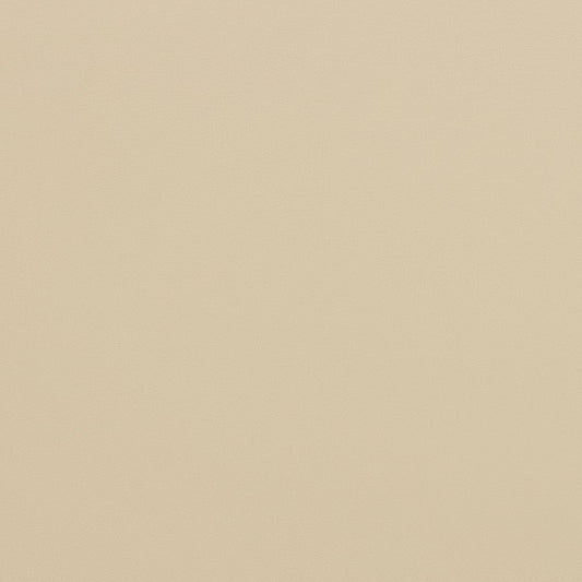 V298 Leather Grain,Plain & Solid Bone Beige & Taupe Charlotte Fabrics Vinyl
