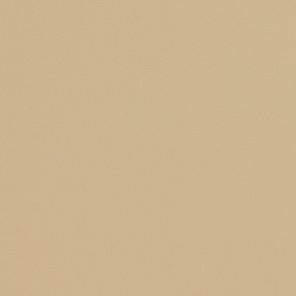 V301 Leather Grain,Plain & Solid Natural Beige & Taupe Charlotte Fabrics Vinyl
