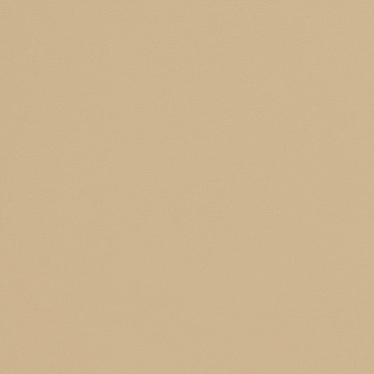 V301 Leather Grain,Plain & Solid Natural Beige & Taupe Charlotte Fabrics Vinyl