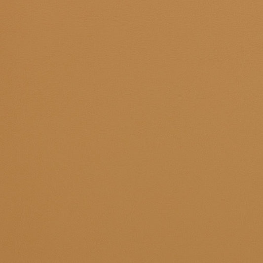 V306 Leather Grain,Plain & Solid Palomino Brown Charlotte Fabrics Vinyl