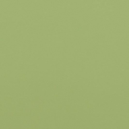 V307 Leather Grain,Plain & Solid Meadow Green Charlotte Fabrics Vinyl