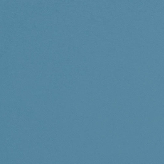 V309 Leather Grain,Plain & Solid Sky Blue Charlotte Fabrics Vinyl