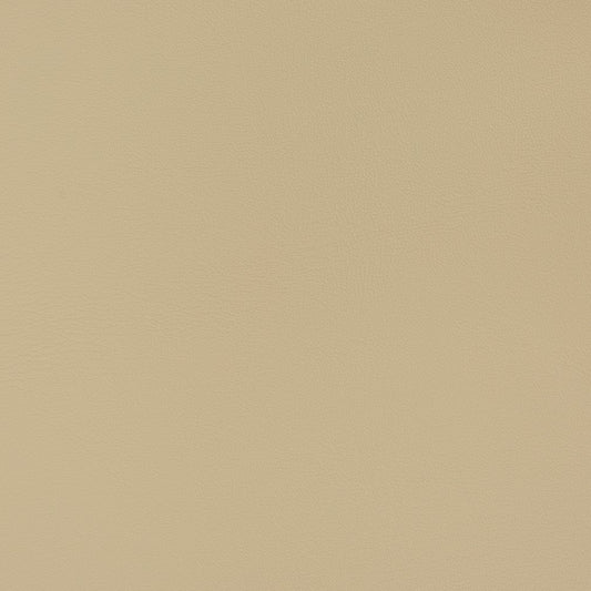 V340 Leather Grain,Plain & Solid Neutral Beige & Taupe Charlotte Fabrics Vinyl