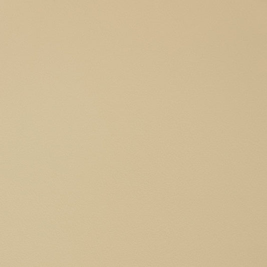 V342 Leather Grain,Plain & Solid Parchment Beige & Taupe Charlotte Fabrics Vinyl