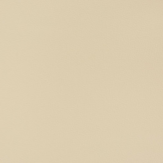 V346 Leather Grain,Plain & Solid Sand Dollar Beige & Taupe Charlotte Fabrics Vinyl