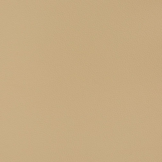 V363 Leather Grain,Plain & Solid Cashmere Beige & Taupe Charlotte Fabrics Vinyl