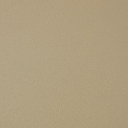 V372 Leather Grain,Plain & Solid Bisque Beige & Taupe Charlotte Fabrics Vinyl