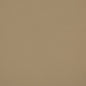 V385 Leather Grain,Plain & Solid Hazelwood Beige & Taupe Charlotte Fabrics Vinyl