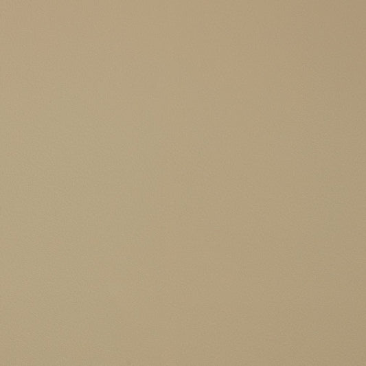 V389 Leather Grain,Plain & Solid Natural Beige & Taupe Charlotte Fabrics Vinyl