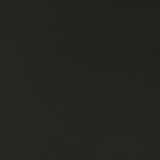 V390 Leather Grain,Plain & Solid Black Black Charlotte Fabrics Vinyl