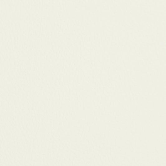 V426 Leather Grain,Plain & Solid Natural White & Ivory Charlotte Fabrics Vinyl