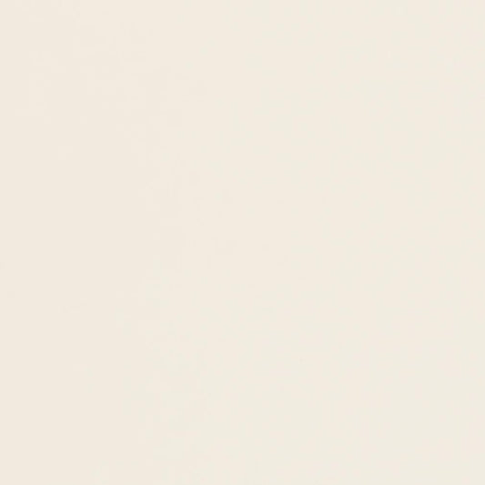 V438 Leather Grain,Plain & Solid Bone White & Ivory Charlotte Fabrics Vinyl