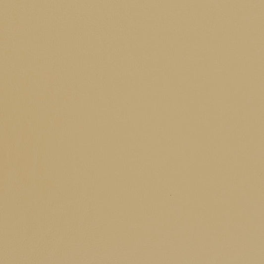 V440 Leather Grain,Plain & Solid Sand Beige & Taupe Charlotte Fabrics Vinyl