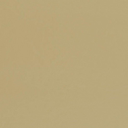 V444 Leather Grain,Plain & Solid Beach Beige & Taupe Charlotte Fabrics Vinyl