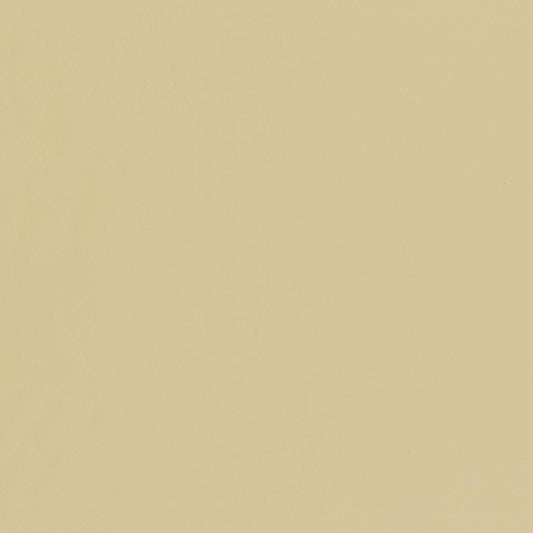 V448 Leather Grain,Plain & Solid Buff Beige & Taupe Charlotte Fabrics Vinyl
