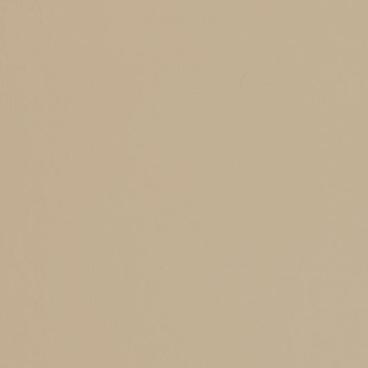 V451 Leather Grain,Plain & Solid Sandstone Beige & Taupe Charlotte Fabrics Vinyl