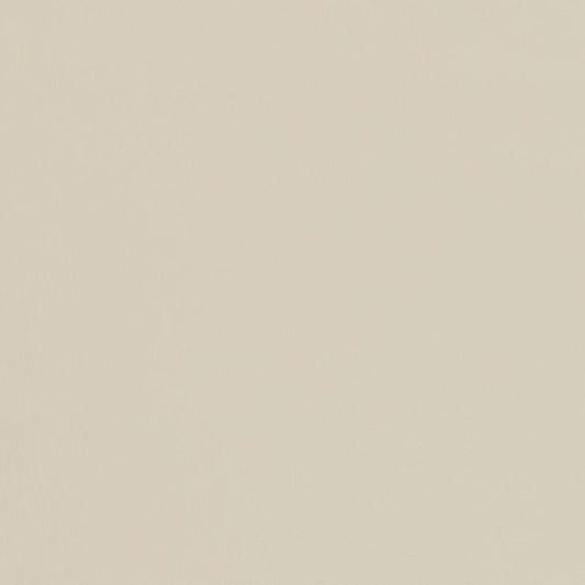 V456 Leather Grain,Plain & Solid Seashell Beige & Taupe Charlotte Fabrics Vinyl