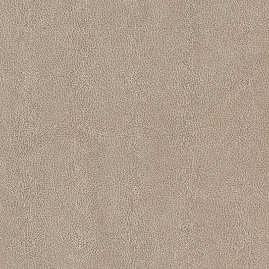V500 Leather Grain,Plain & Solid Sandstone Beige & Taupe Charlotte Fabrics Vinyl