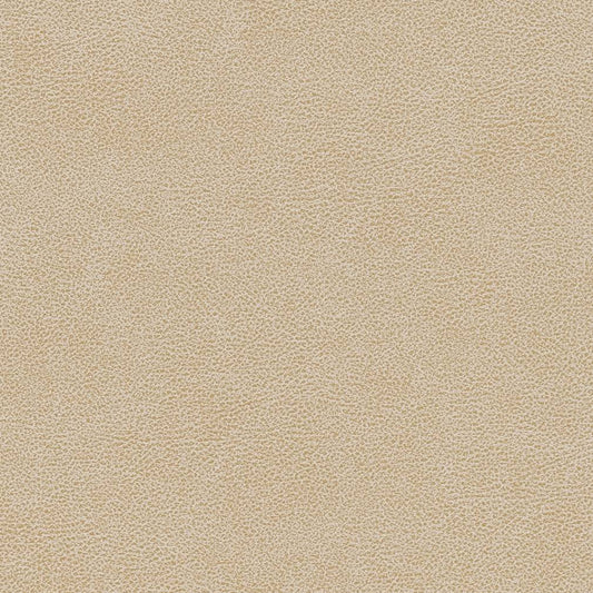 V502 Leather Grain,Plain & Solid Sand Dollar Gold & Yellow Charlotte Fabrics Vinyl