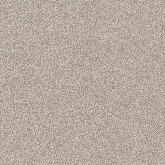 V503 Leather Grain,Plain & Solid Platinum Grey & Silver Charlotte Fabrics Vinyl