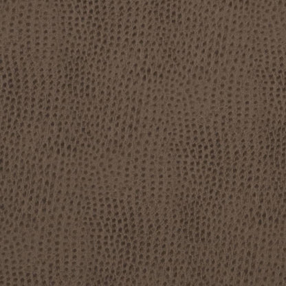 V624 Plain & Solid Cobblestone Brown Charlotte Fabrics Vinyl