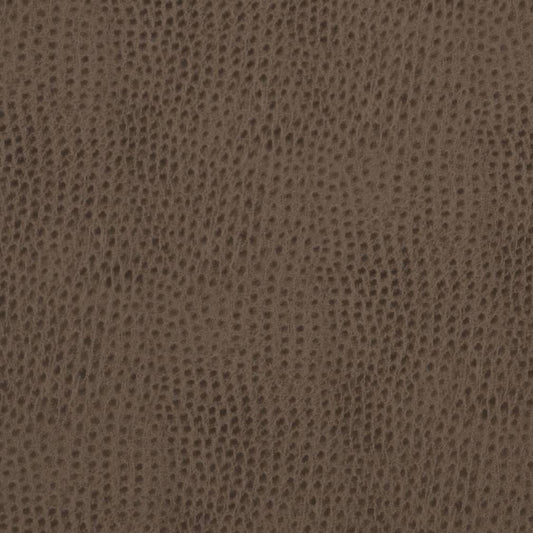 V624 Plain & Solid Cobblestone Brown Charlotte Fabrics Vinyl