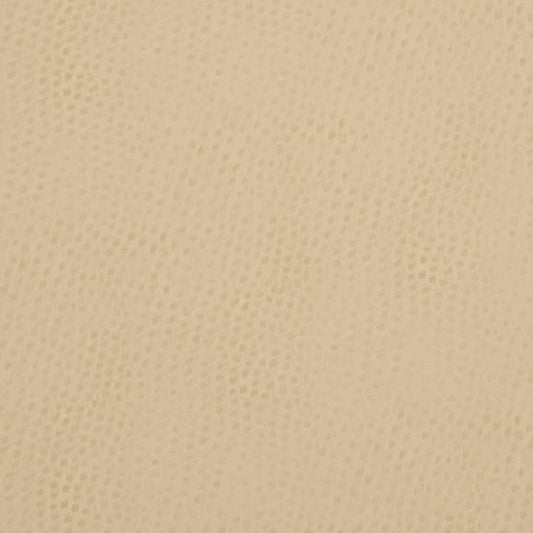 V626 Plain & Solid Parchment Beige & Taupe Charlotte Fabrics Vinyl