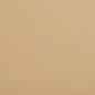 V637 Leather Grain,Plain & Solid Dune Beige & Taupe Charlotte Fabrics Vinyl
