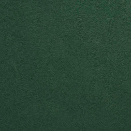 V639 Leather Grain,Plain & Solid Spruce Green Charlotte Fabrics Vinyl