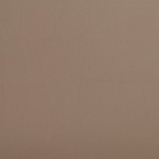V641 Leather Grain,Plain & Solid Taupe Beige & Taupe Charlotte Fabrics Vinyl