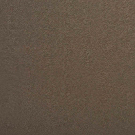V642 Leather Grain,Plain & Solid Stone Beige & Taupe Charlotte Fabrics Vinyl