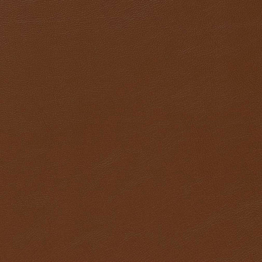 V645 Leather Grain,Plain & Solid Canyon Brown Charlotte Fabrics Vinyl