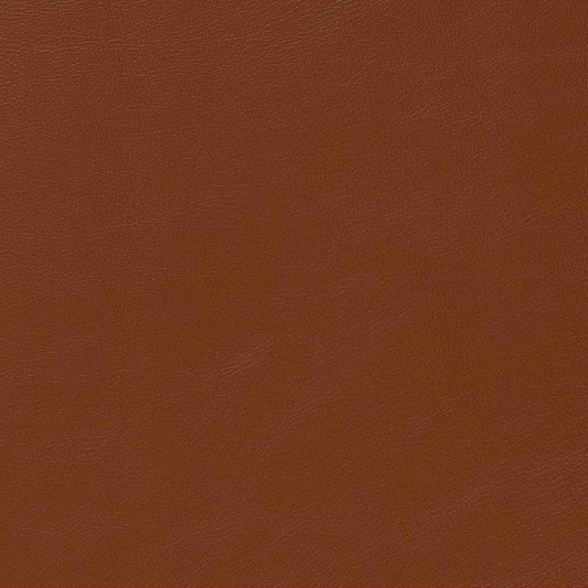 V646 Leather Grain,Plain & Solid Brown Charlotte Fabrics Polyurethane,UltraHyde,Vinyl