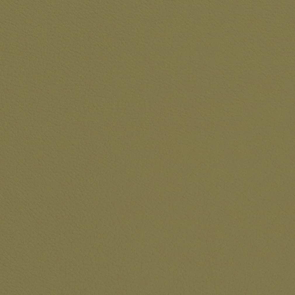 V660 Plain & Solid Sage Green Charlotte Fabrics Vinyl