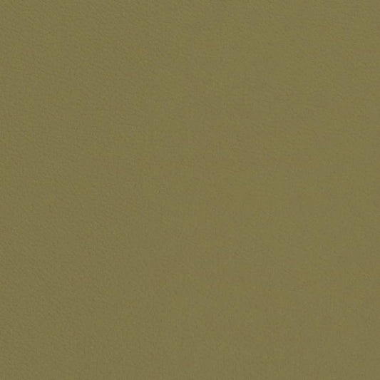 V660 Plain & Solid Green Charlotte Fabrics Vinyl