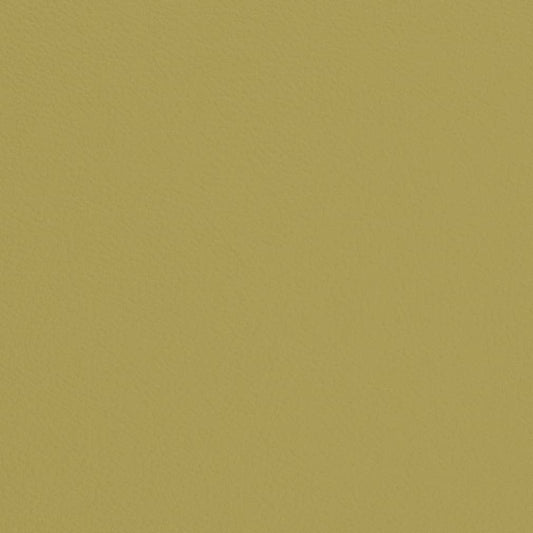 V668 Plain & Solid Green Charlotte Fabrics Vinyl