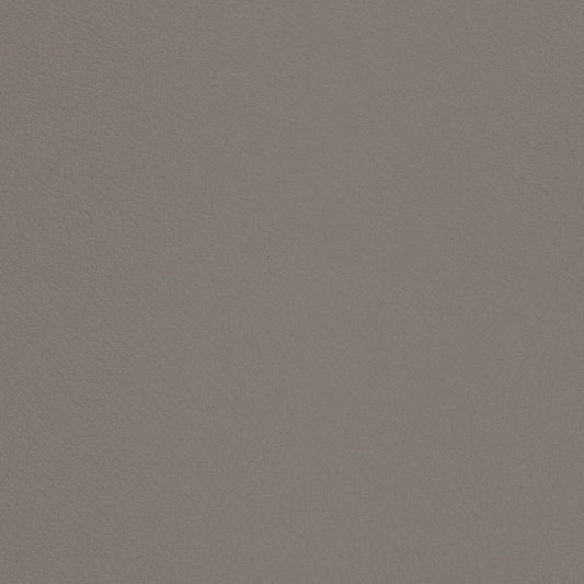 V669 Plain & Solid Pewter Grey & Silver Charlotte Fabrics Vinyl
