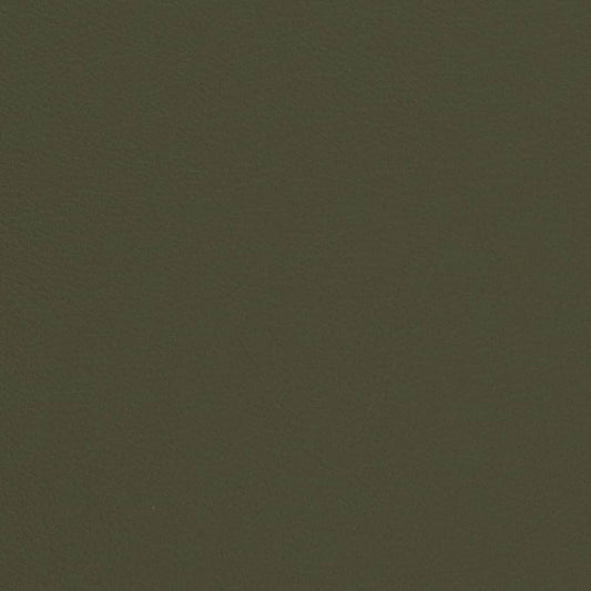 V680 Plain & Solid Moss Green Charlotte Fabrics Vinyl