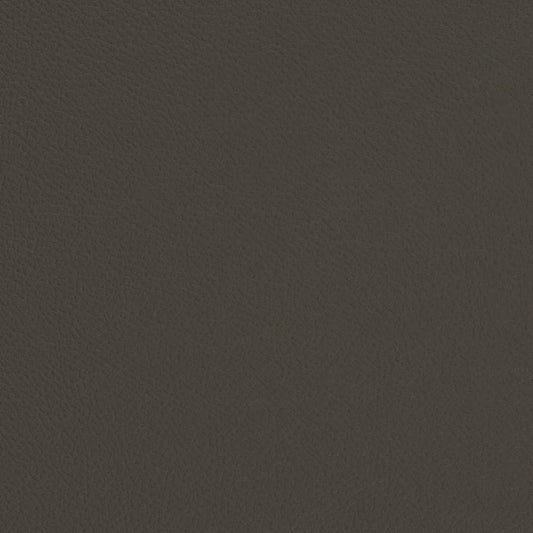 V681 Plain & Solid Iron Grey & Silver Charlotte Fabrics Vinyl
