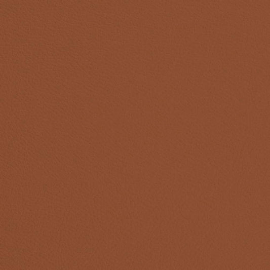 V685 Plain & Solid Rust Orange & Rust Charlotte Fabrics Vinyl