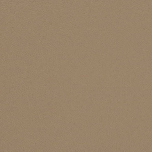 V692 Plain & Solid Mushroom Beige & Taupe Charlotte Fabrics Vinyl