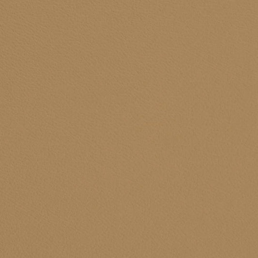 V697 Plain & Solid Khaki Beige & Taupe Charlotte Fabrics Vinyl