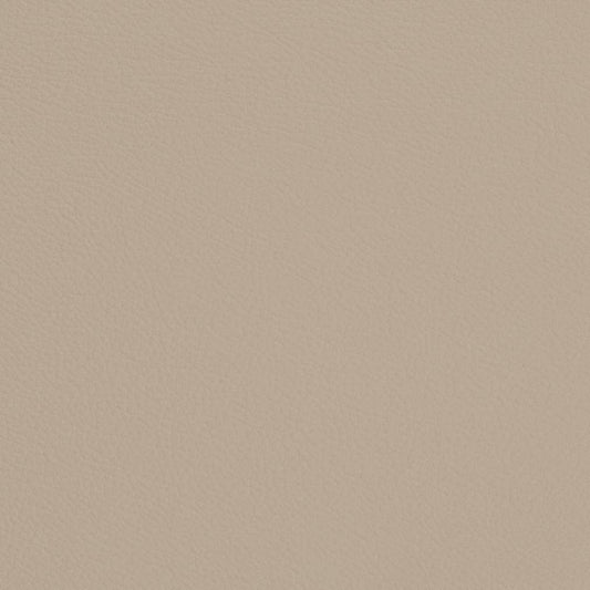 V698 Plain & Solid Dove Beige & Taupe Charlotte Fabrics Vinyl