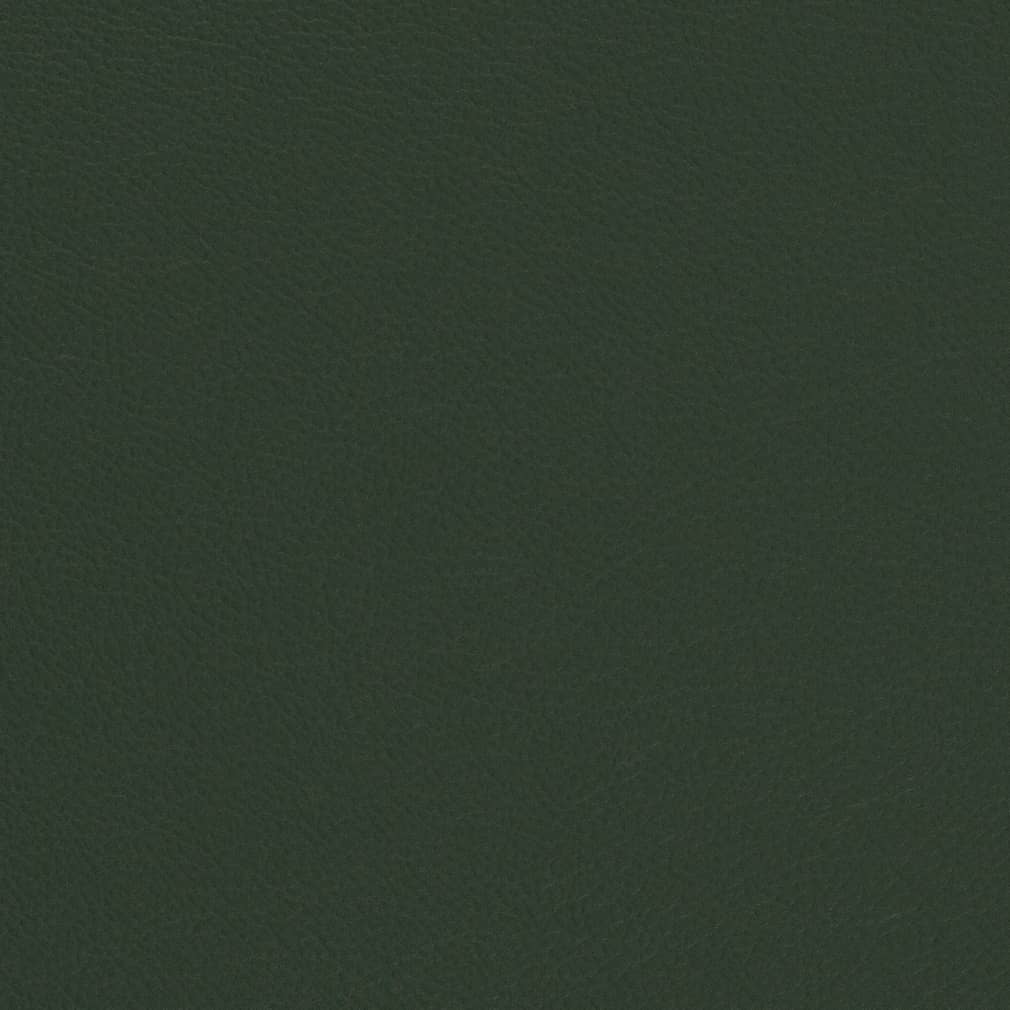 V699 Plain & Solid Evergreen Green Charlotte Fabrics Vinyl