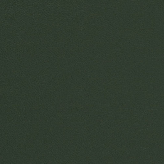V699 Plain & Solid Green Charlotte Fabrics Vinyl